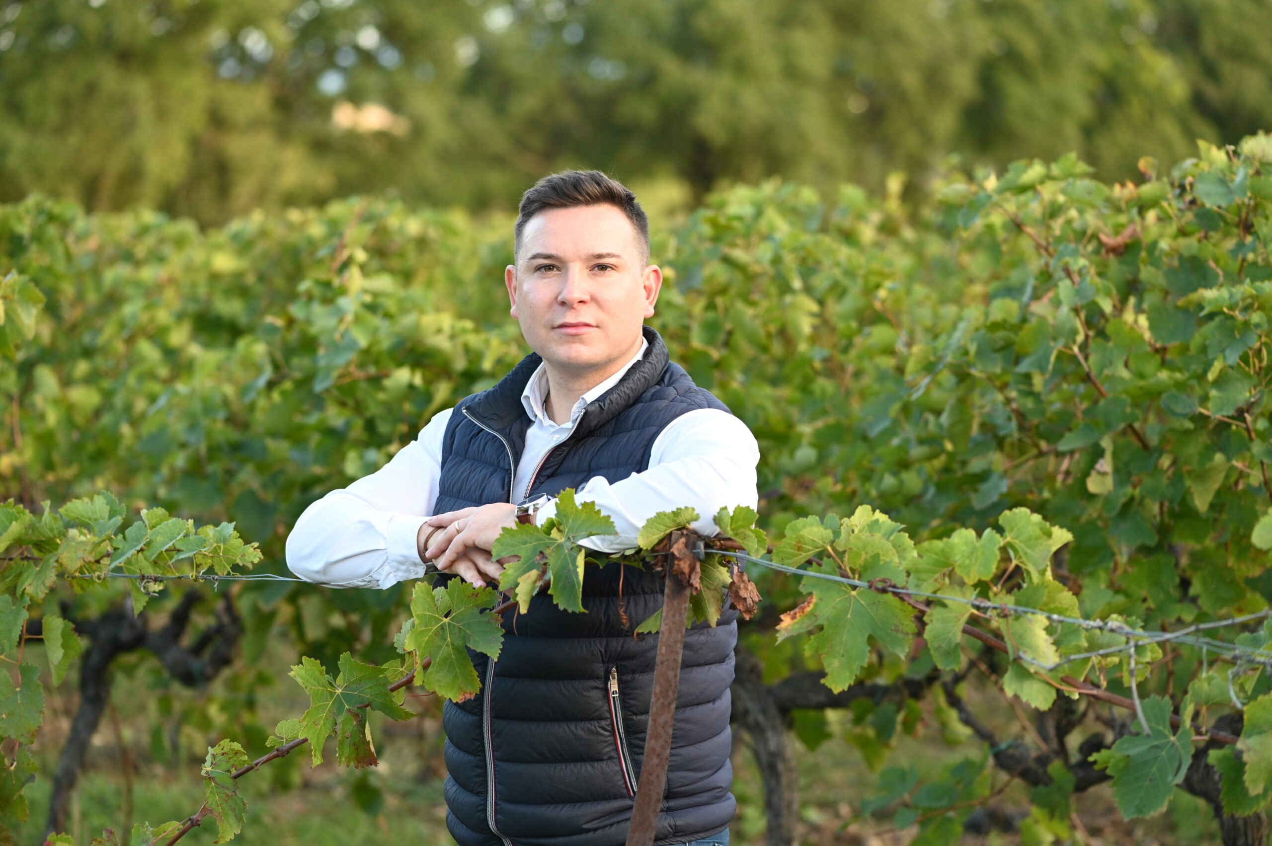 présentation vigne home mets vins vallée du Rhône